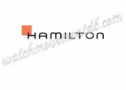 Hamilton Watch spare parts