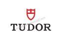 Tudor Watch Movement